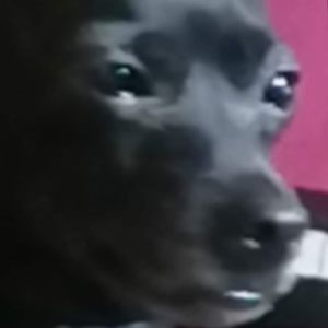 Meet your Posher, Carla